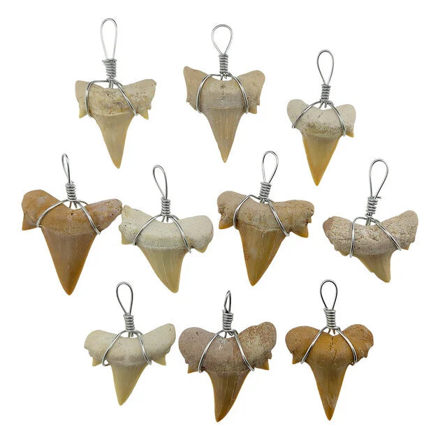 Fossiele Otodus haaientand hanger